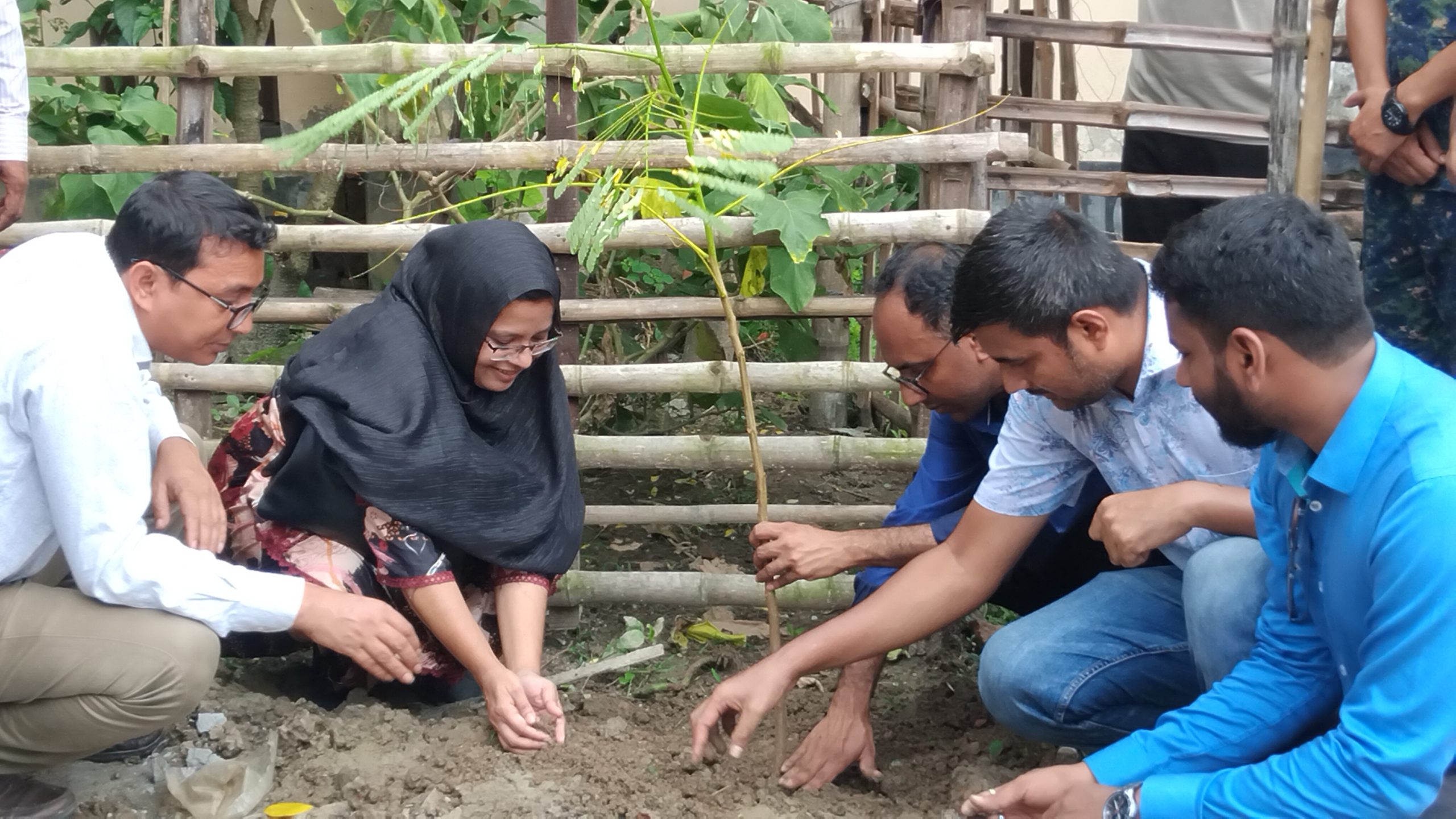 জুলাই পুনর্জাগরণ -২০২৫ এর অংশ হিসাবে নড়াইলে বৃক্ষ রোপন কর্মসূচি  পালিত