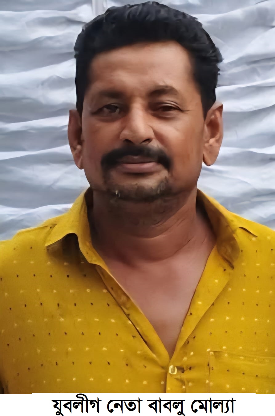 নড়াইলে আরটিভি ও দৈনিক সময়ের আলোর সাংবাদিক মোস্তফা কামালকে  প্রকাশ্যে প্রাণনাশের হুমকি, থানায় জিডি