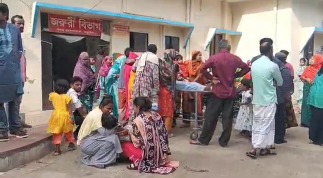 সড়ক দুর্ঘটনায় নড়াইলে এক তরুণের মৃত্যু 